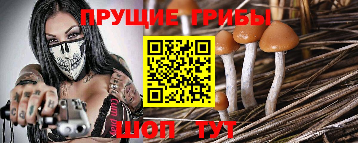 Конопля Богданович