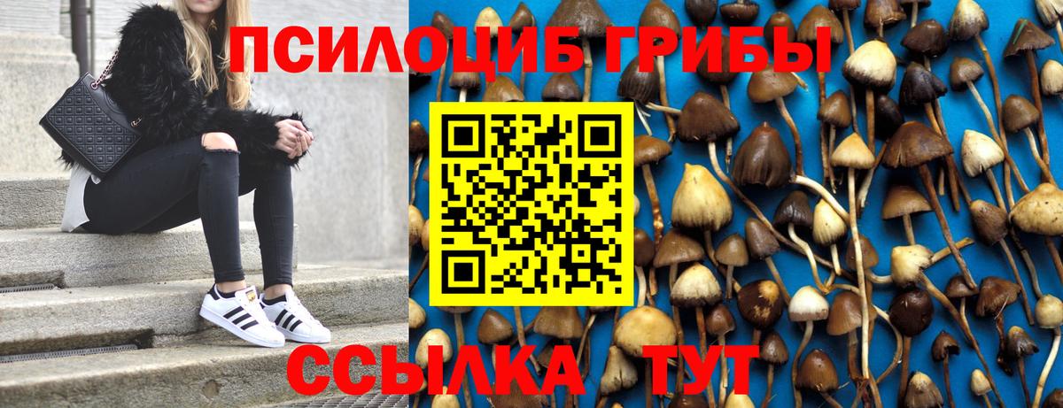 Галлюциногенные грибы GOLDEN TEACHER Богданович