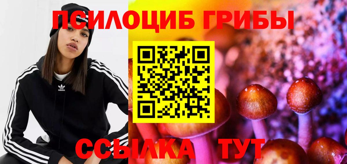 Богданович  Галлюциногенные грибы GOLDEN TEACHER  Вход с VPN  Галлюциногенные грибы ЛСД 
