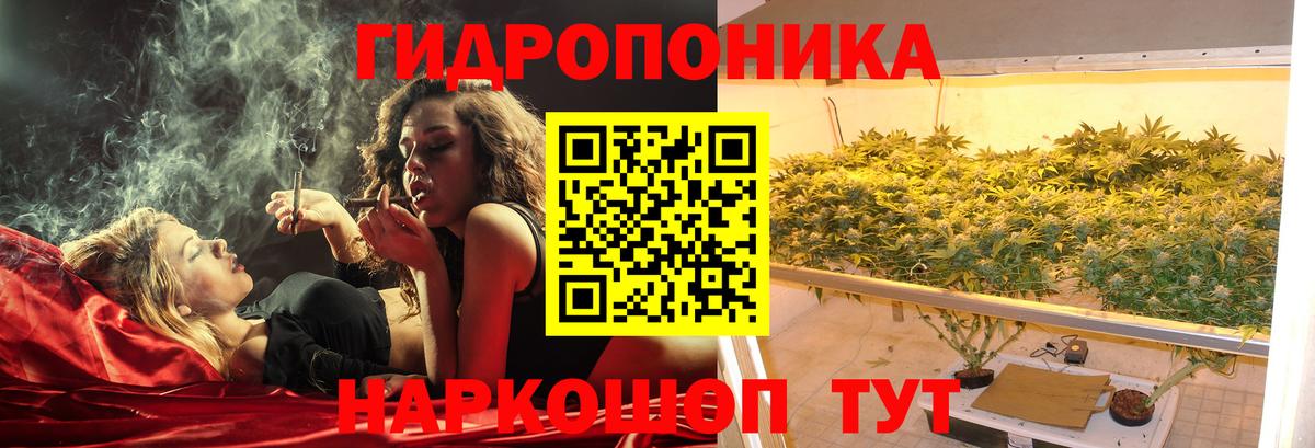 Канабис Amnesia  Канабис Ganja  Конопля гибрид  Богданович  Вход с VPN  Бошки Шишки MAZAR 